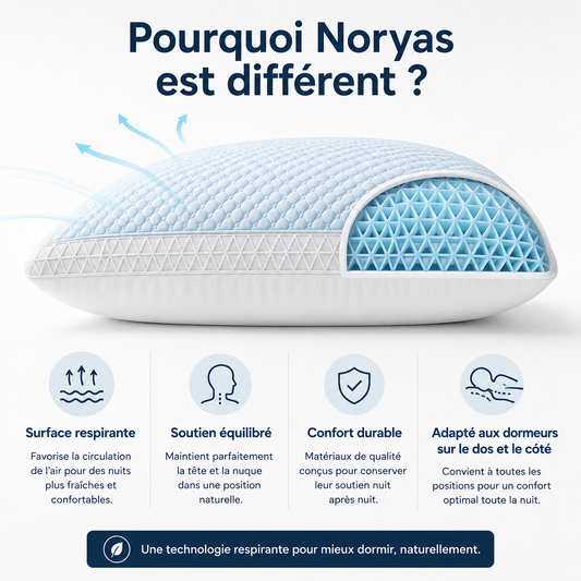 Oreiller Noryas